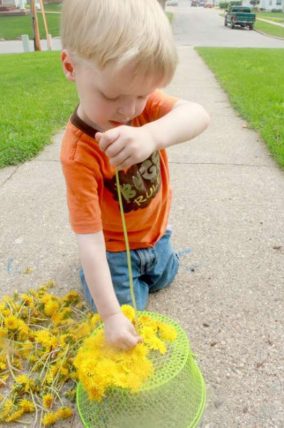 Fine motor threading using dandelions picked