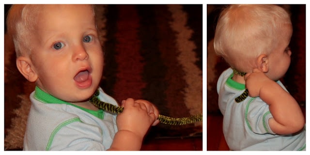 George loves exploring pipe cleaners, too!