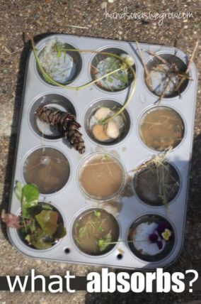 What Absorbs Water Experiment