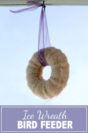 Homemade Heart Shaped Bird Feeder