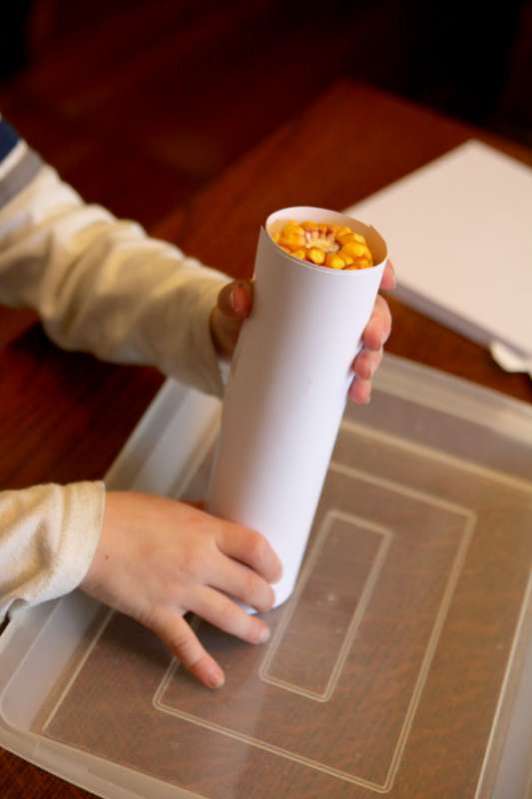 Do Kernels Have More Volume than Ear of Corn Itself?