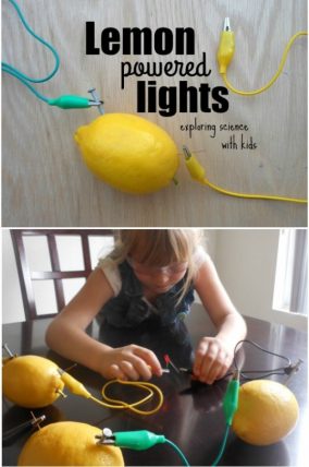 Lemon battery experiment! Using lemons to light an LED. So cool!
