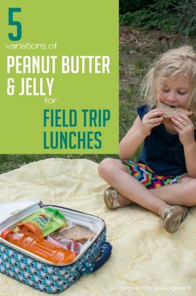 5 Variations of Peanut Butter and Jelly for Field Trip Lunches