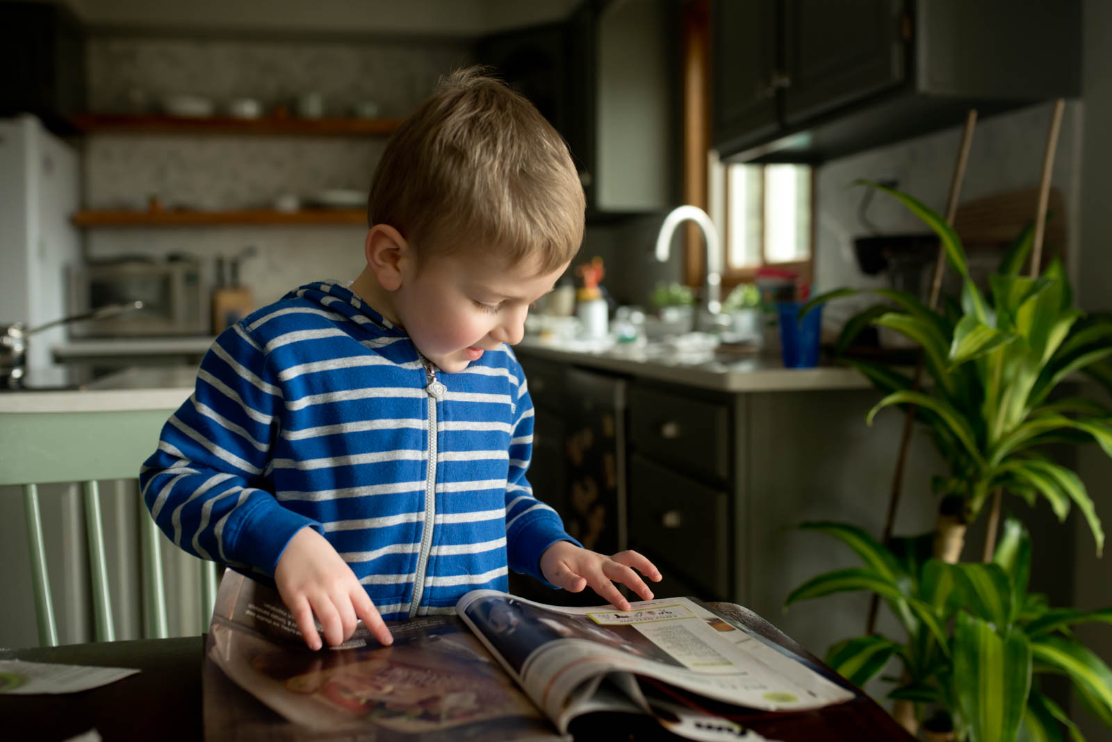 Kids go on a hunt through the magazine to find the close-ups of the pictures!