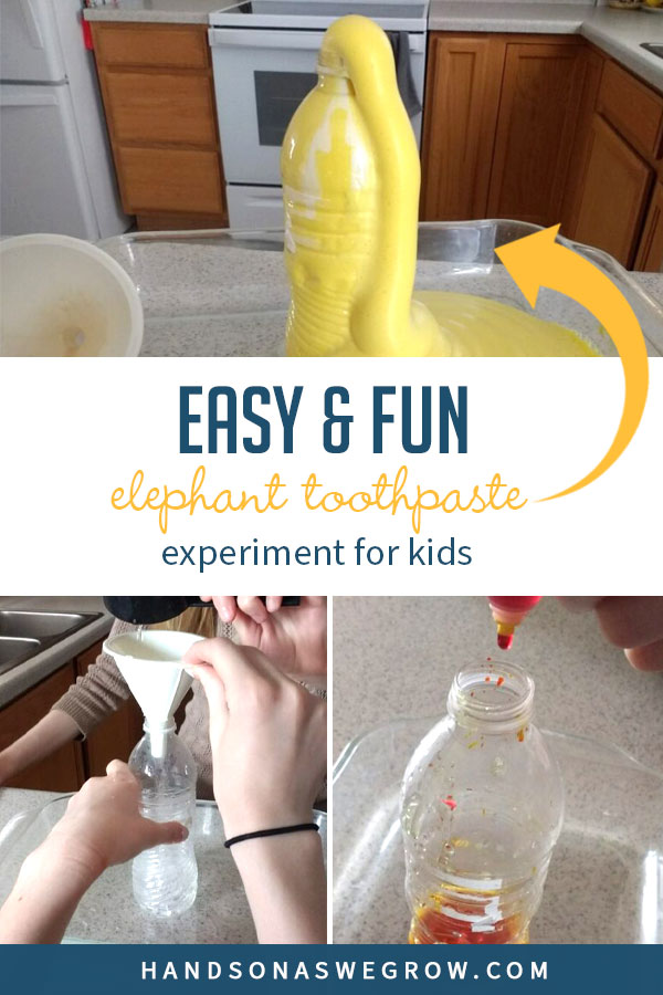 Elephant Toothpaste for Kids Simple Science Experiment HOAWG