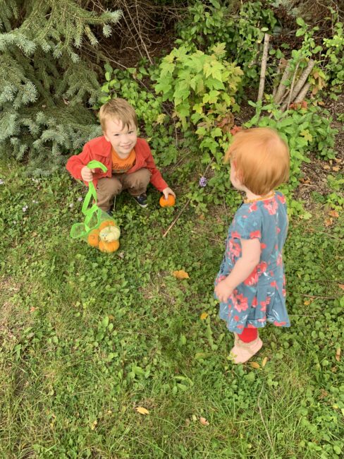 A super simple fall pumpkin scavenger hunt with a name sorting twist.