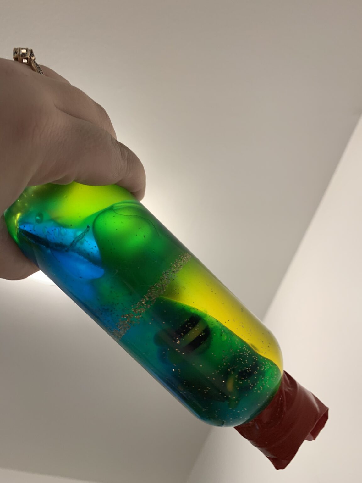 Lava Lamp Sensory Bag & Bottle Perfect for Valentine's Day HOAWG