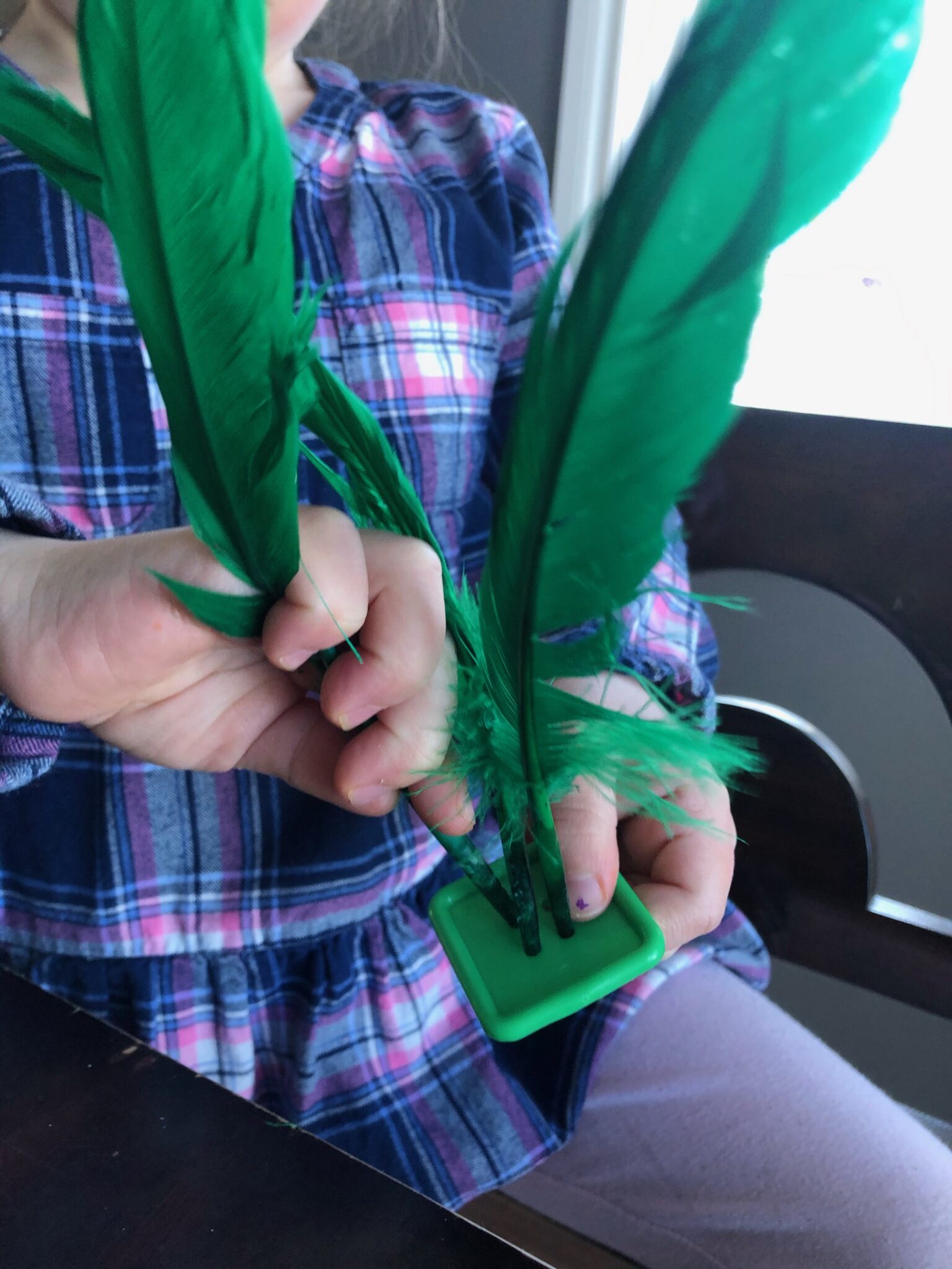 A simple and fun color matching fine motor activity with buttons and feathers.