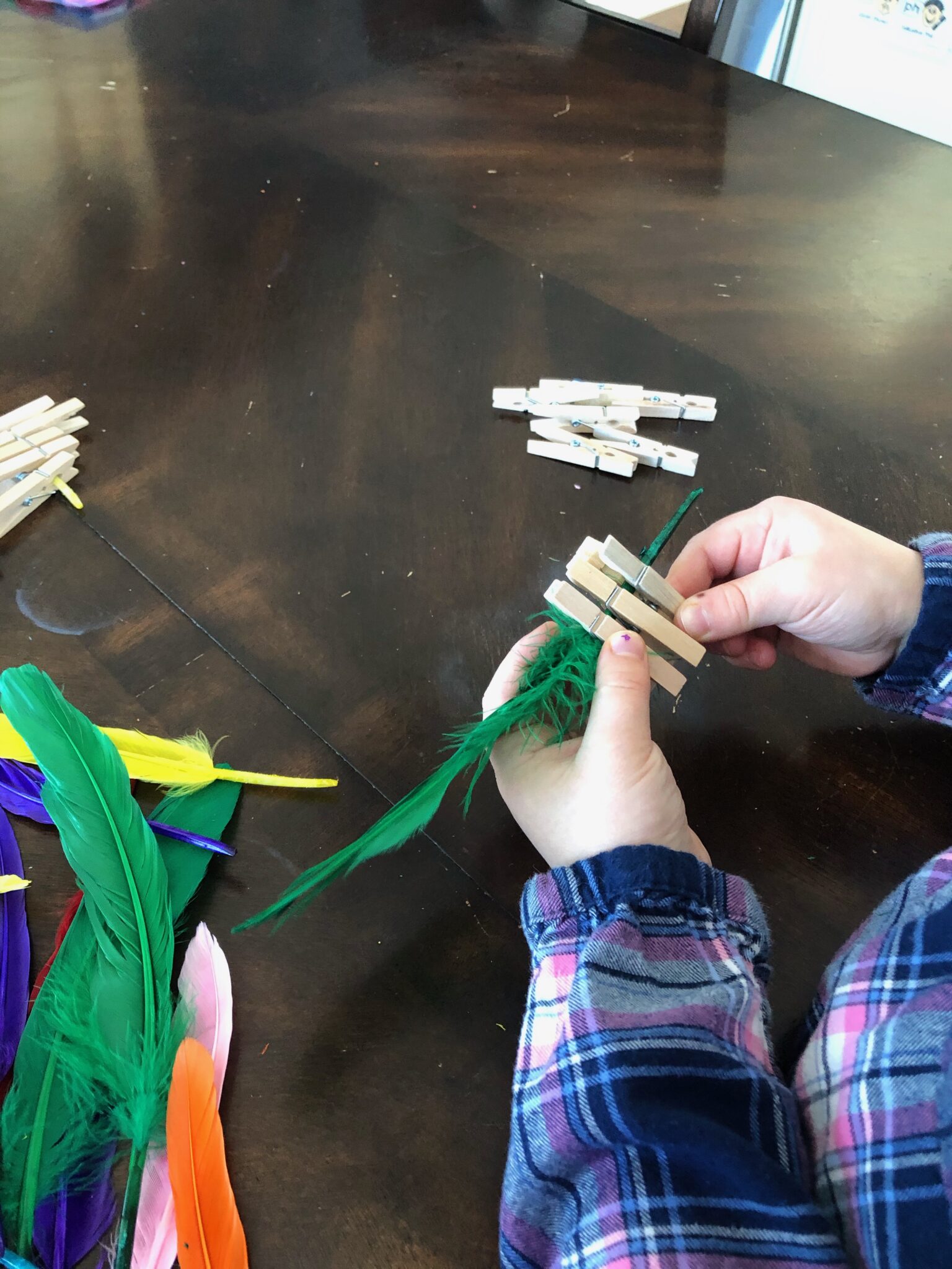 Feathers and clothespins are perfect for fine motor activity exploration.