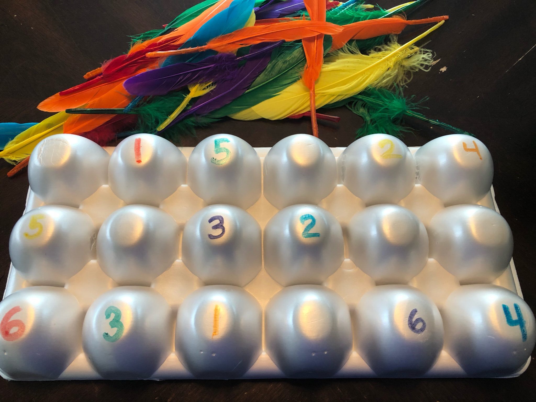 Counting activity with feathers and egg cartons for toddlers and preschoolers.
