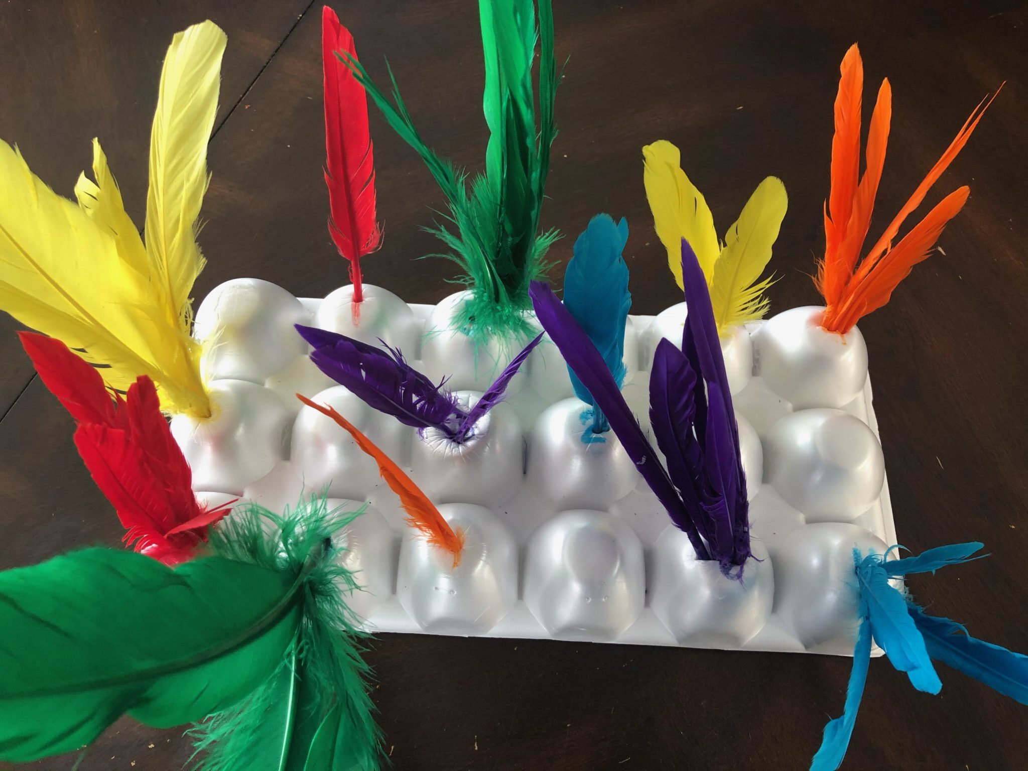 Counting activity with feathers and egg cartons for toddlers and preschoolers.