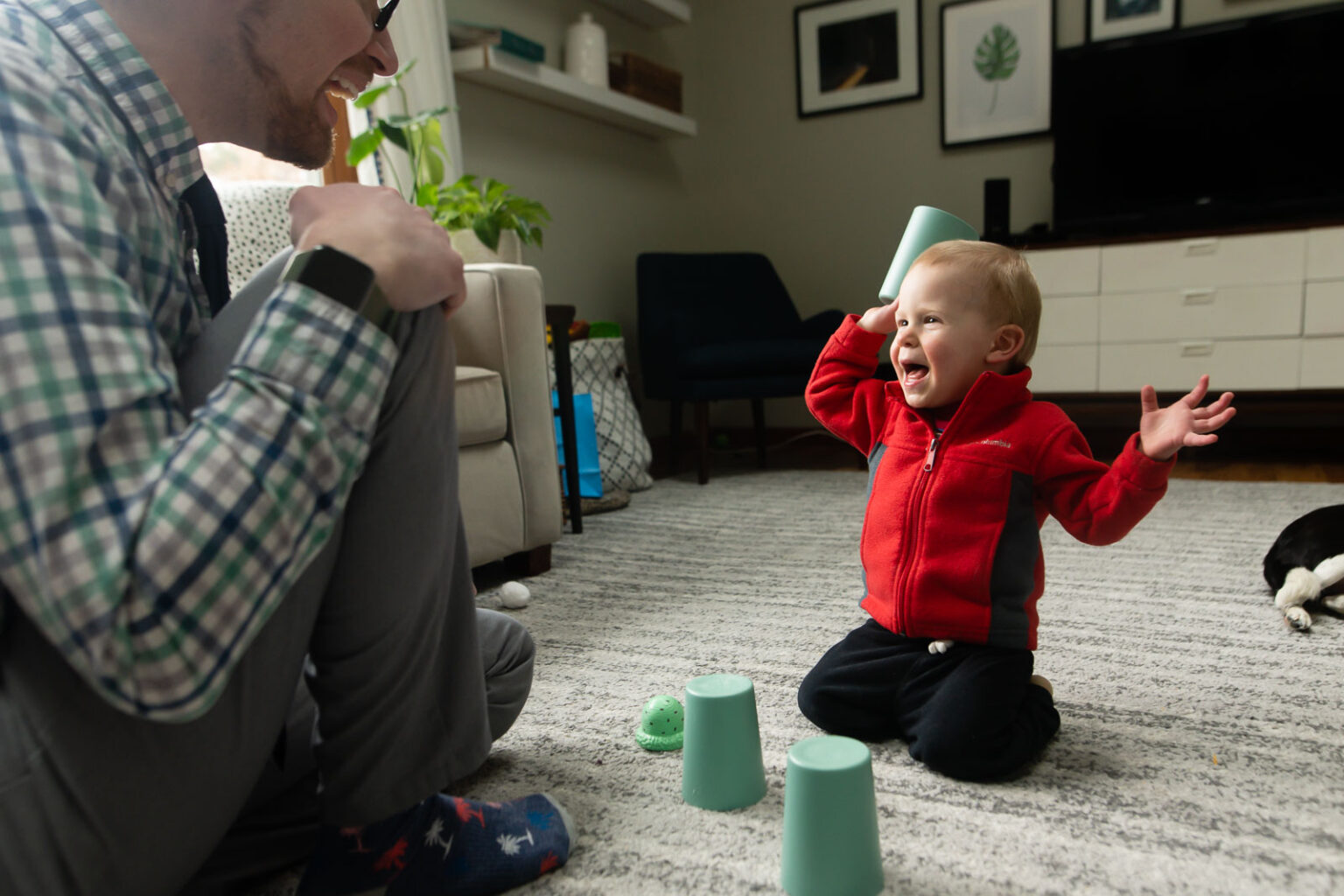 Quick and Simple Cup and Toy Memory Game for Toddlers HOAWG