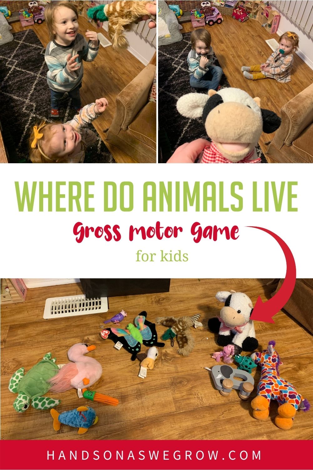 Where Do Animals Live Game For Active Play Time HOAWG