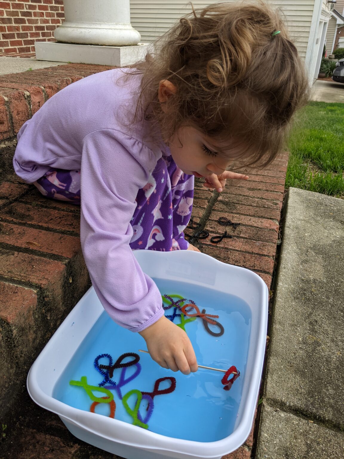 Pipe Cleaner Fishing Game for Toddlers Activity Fun HOAWG