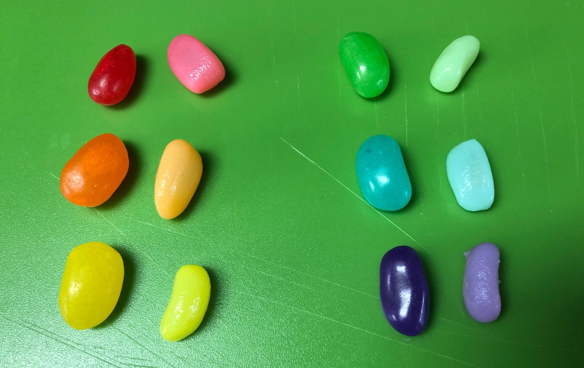 comparing jelly beans after experiment