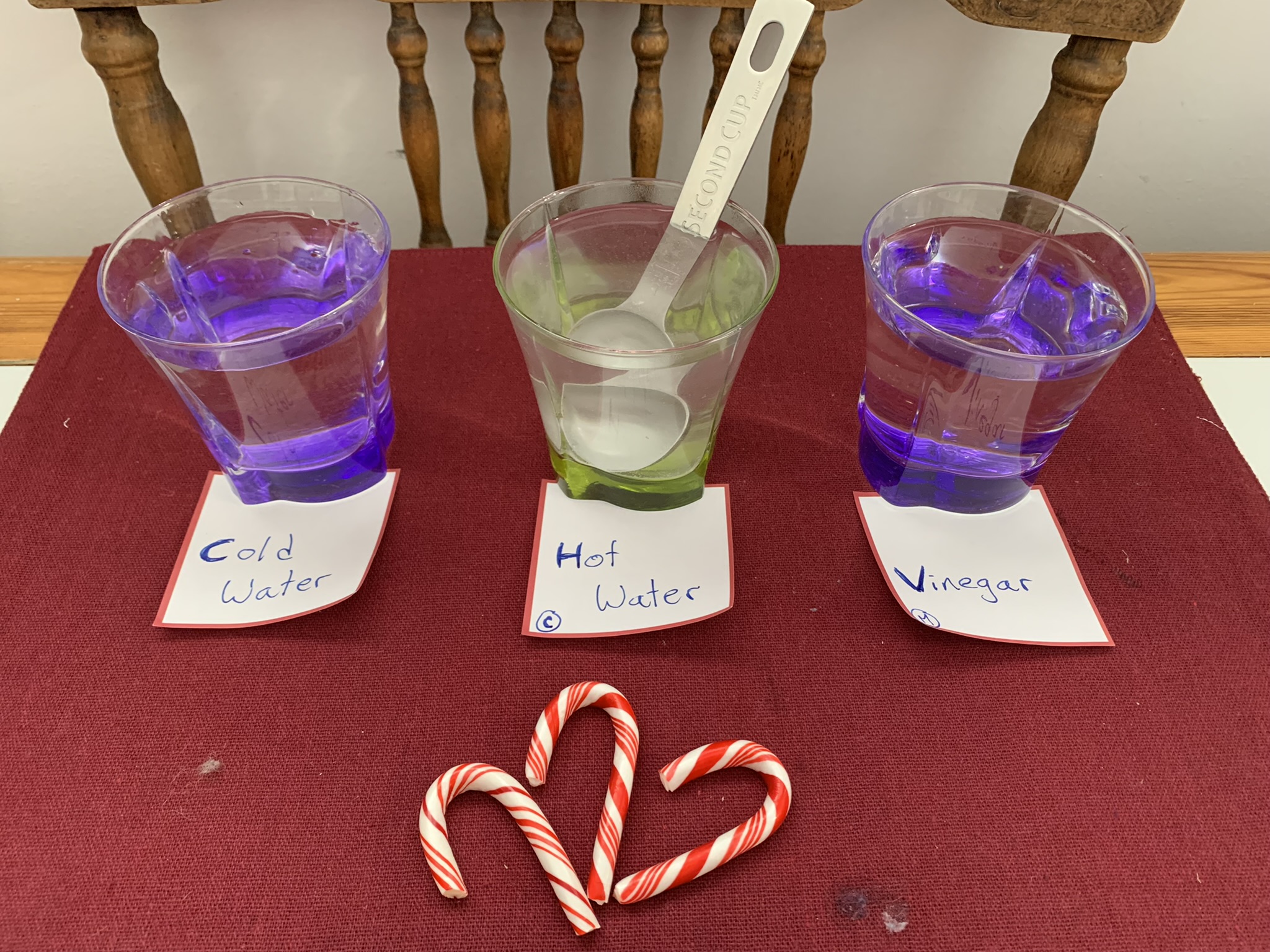 Fill each cup with one of the fluids equally