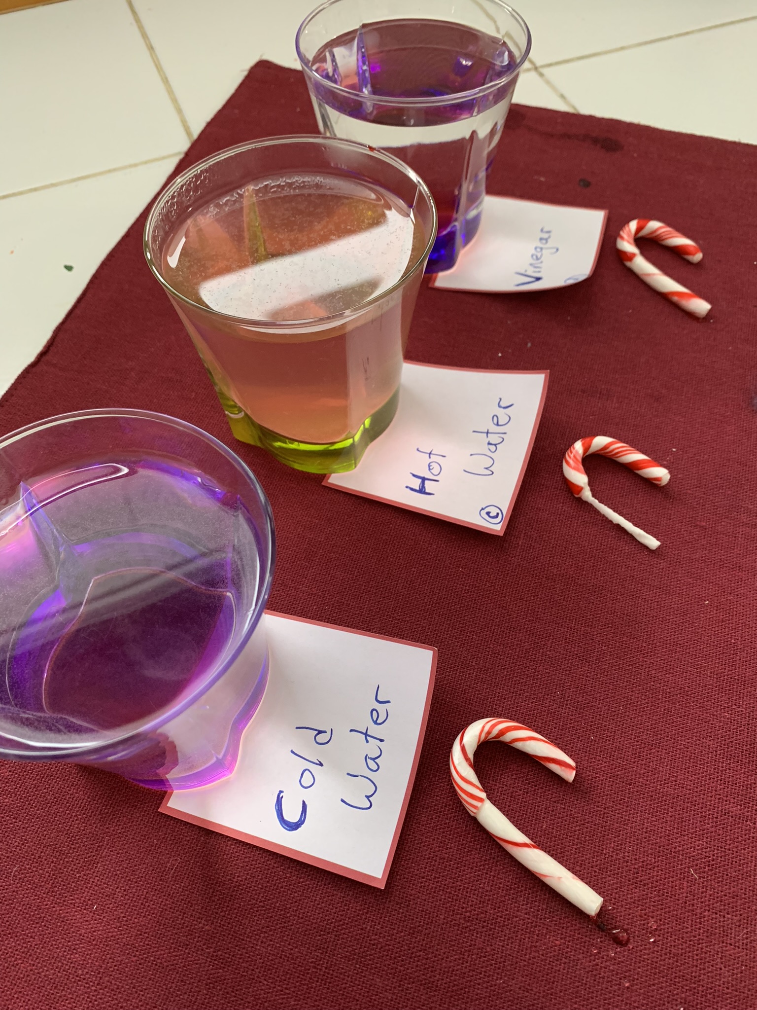 Vinegar, water, glasses and candy canes is all you need for this fun Christmas science experiment of dissolving, observing, predicting, and learning together this holiday season.