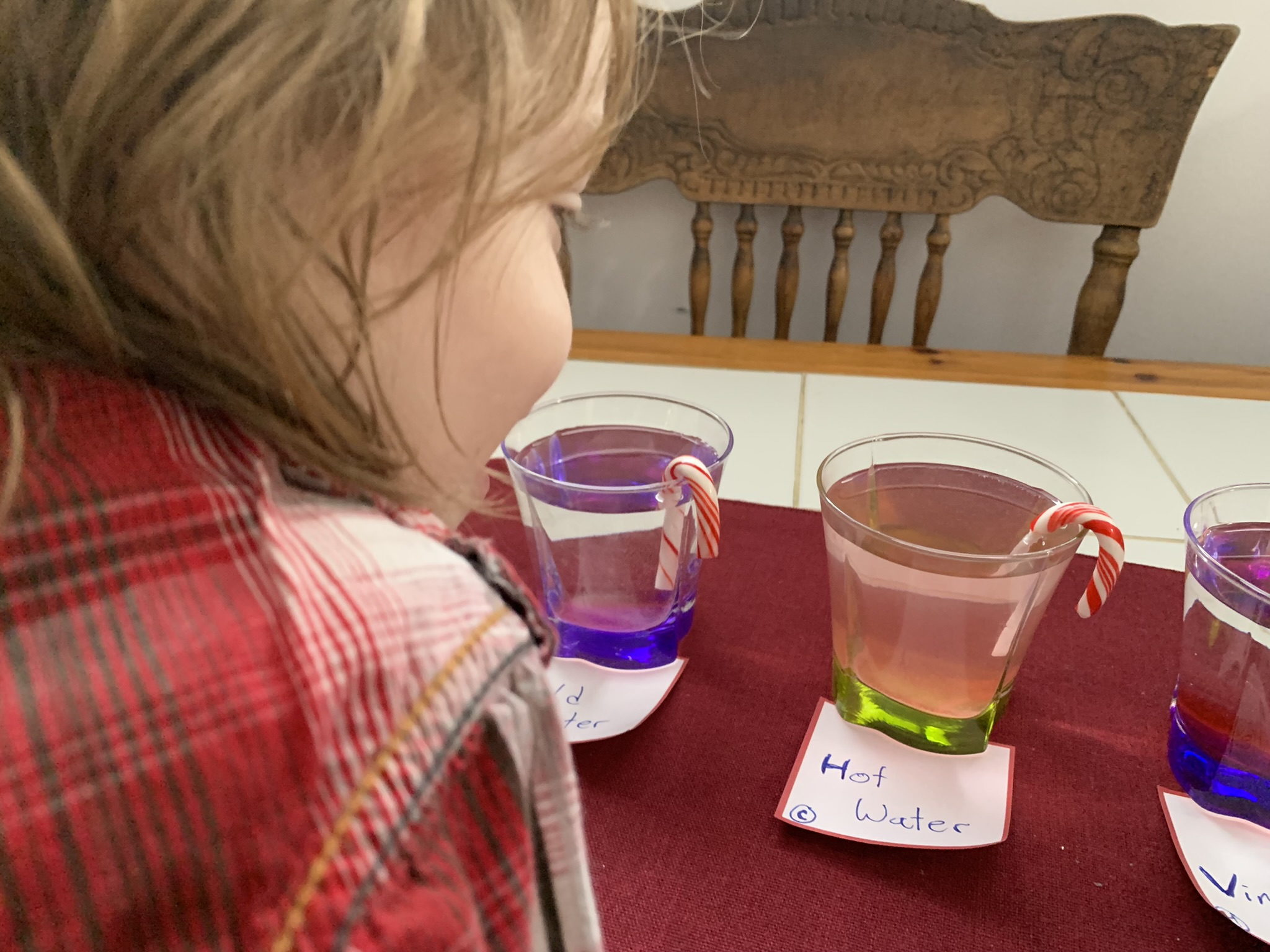 Too many candy canes? Why not turn it into a science experiment perfect for the holidays with toddlers and preschoolers using candy canes and household supplies.