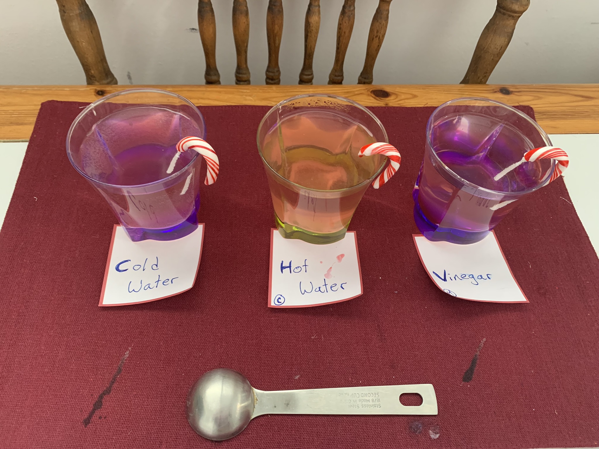 Use a few of your Christmas candy canes for a little science experiment in a festive theme and watch and predict which will dissolve first!