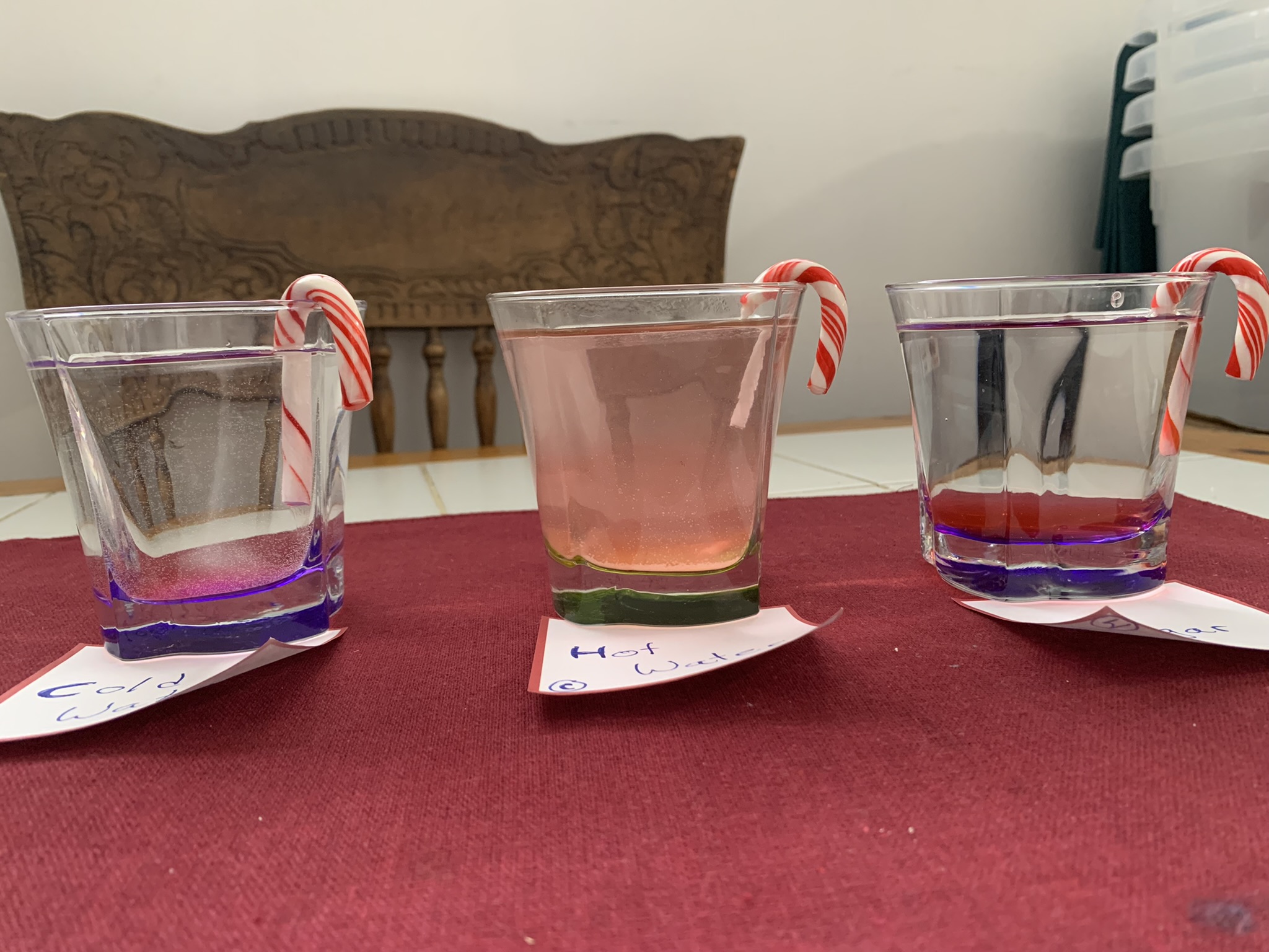 Use a few of your Christmas candy canes for a little science experiment in a festive theme and watch and predict which will dissolve first!